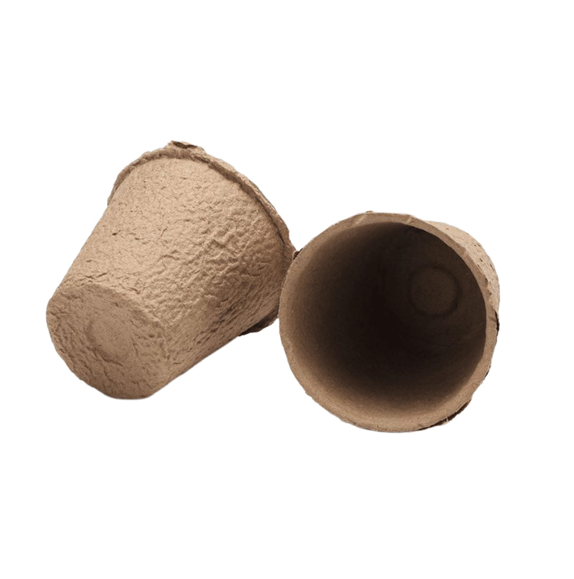 Seed pot